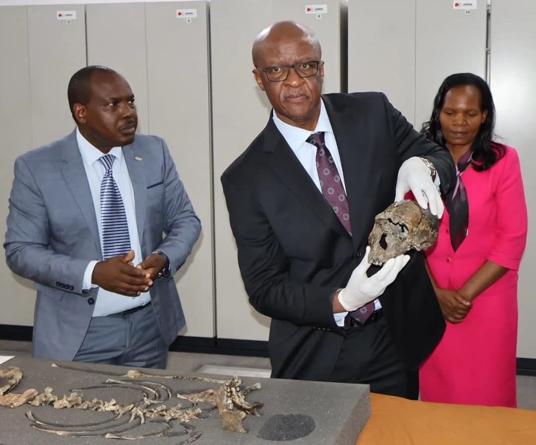 CDF Francis Ogola at NMK holding Turkana Boy