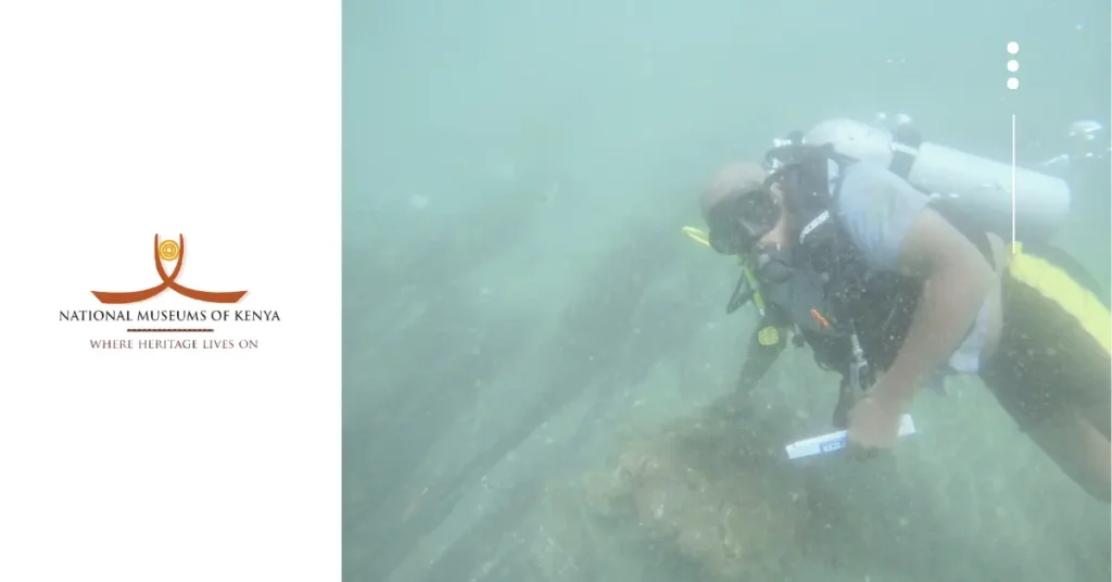 Ngomeni Shipwreck: Unearthing a 16th-Century Maritime Treasure 29 Ngomeni Shipwreck: Unearthing a 16th-Century Maritime Treasure