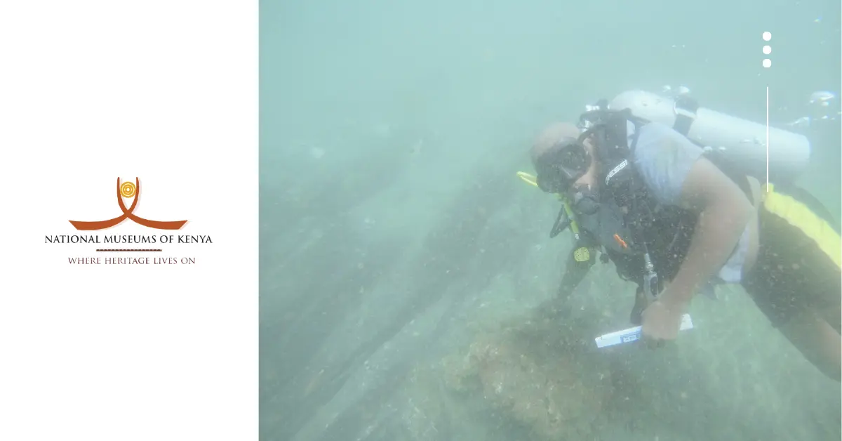 Ngomeni Shipwreck: Unearthing a 16th-Century Maritime Treasure