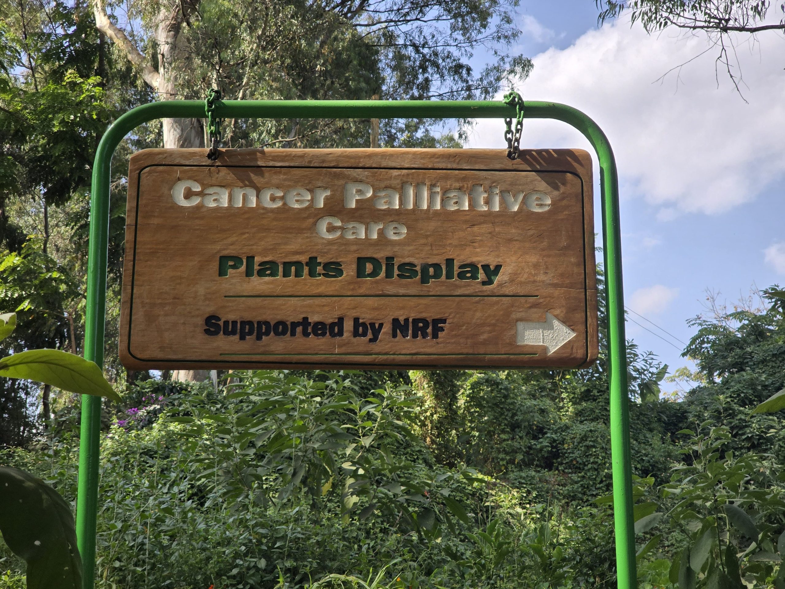 cancer palliative garden scaled 1