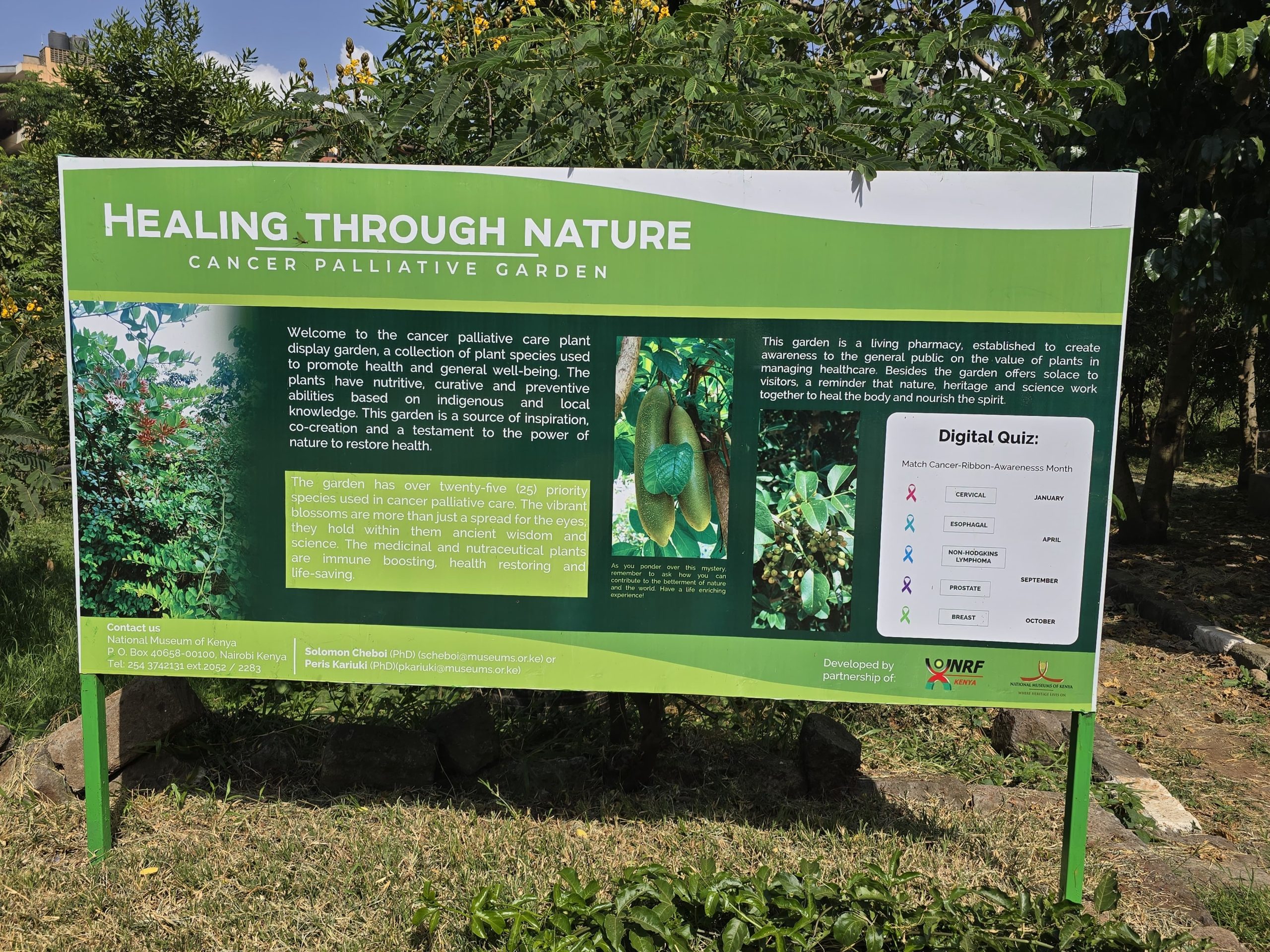 healinng nature cancer garden scaled 1
