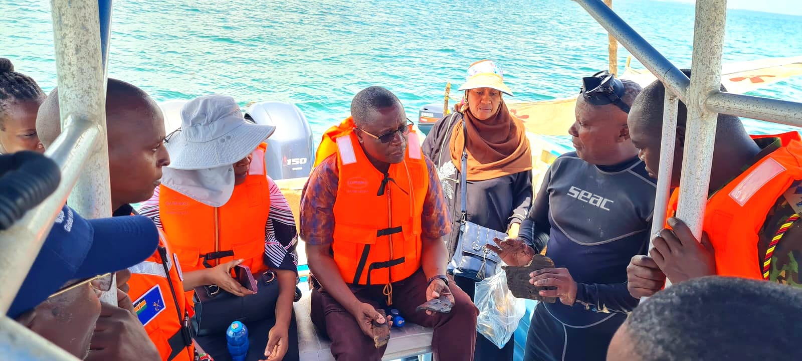 ngomeni shipwreck dg chairboard